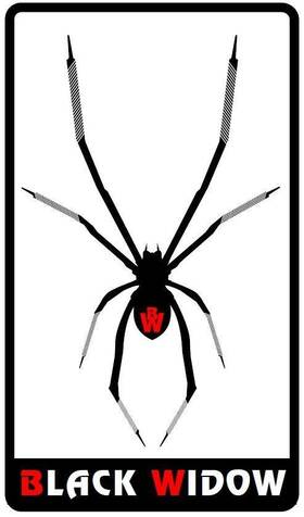 Black Widow Bw8r32 8 Inch Chainsaw File 5 - 12 Pack Bundle 60 Files