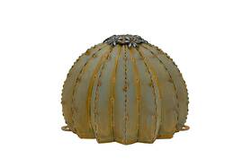 Desert Steel 350-010vt Golden Barrel Cactus Torch - Small 12 Inch W X Verdigris