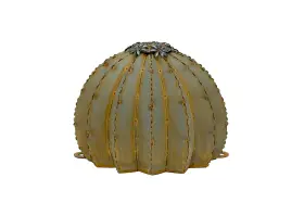 350-010vt Desert Steel Golden Barrel Cactus Torch - Small 12 Inch W X Verdigris