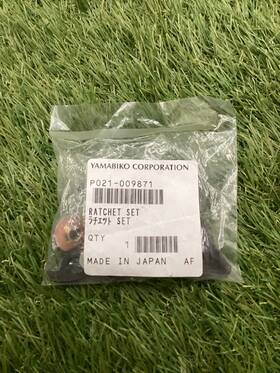 Echo P021-009871 Ratchet Set Oem