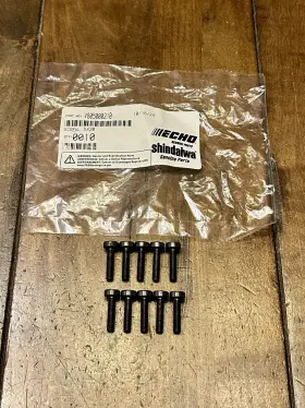 V805000210 Echo Screw 10-pack M5x20 Genuine Oem