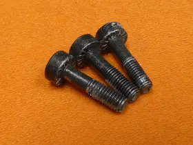 501981020 Husqvarna Screws