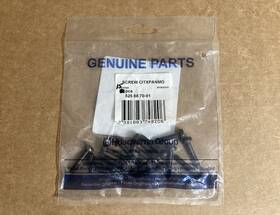 Husqvarna 525887001 Screw Pack Of 15