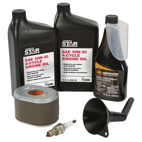 Northstar 5745642 Maintenance Kit For 180cc And 225cc Engines 2 Qts. 10/30w