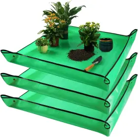 Pe-1003 Onlysuki 3 Pcs 39.5 Inch X Extra Large Repotting 3pcs Green