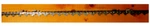 Oregon Hyper Skip Ripping Chain .404 Pitch .063 Gauge Dl, 27RX224G New. Price: $116.90.