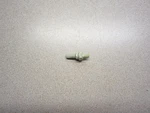 Homelite 58757-E Starter Pawl Open. Price: $6.99.