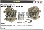 R170143 Cylinder And Piston Kit Pioneer P20 P21 Chainsaw 41 Pin 9.5 New. Price: $273.58.