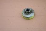 Pioneer P20 Chainsaw Oem Clutch Drum 3/8 Used. Price: $9.99.