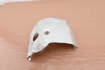 Solo 626 Chainsaw Oem Cylinder Cover Used. Price: $12.52.