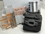 Stihl Oem Cylinder With Piston Kit 4241 020 1204 C-e BG56C New. Price: $72.99.
