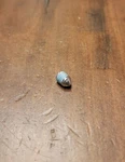 Stihl (1) Stud Screw M6 FC110 FC111 HL100 FS311 0000-953-1001 Genuine Oem New. Price: $14.20.