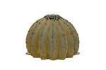 Desert Steel Golden Barrel Cactus Torch - (small 12" X 9" H) Outdoor Me... New. Price: $301.48.