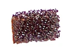 Poulan 4200 & 5200 Gas Chain Saw Replacement Fuel Tank Vent Filter - 530023293 New. Price: $5.49.