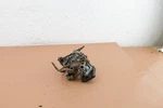 Homelite Model 17 Chainsaw Oem Tillotson Carburetor HP15B (see Desc) Used. Price: $29.99.