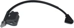 Ignition Coil For Husqvarna Poulan Pro P3818AV P4018AV-BH PP3816A New. Price: $25.45.