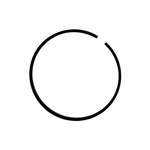 Ring Piston #70205 For Homelite, Ryobi, Ridgid New. Price: $22.31.
