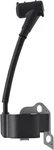Fitbest Ignition Coil 309261004 For Ryobi Homelite 309261001 309261002... New. Price: $23.23.