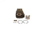 Rotary 14232 1128 020 1227 Fits Stihl Cylinder & Piston Assembly New. Price: $71.72.