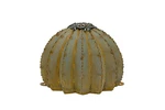 Desert Steel Golden Barrel Cactus Torch - (small 12" X 9" H) Outdoor Me... New. Price: $299.99.