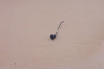 Mcculloch Mac Cat Chainsaw Oem Choke Lever Used. Price: $6.99.
