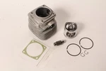 Genuine Echo P050005321 Piston & Cylinder Kit CS8000 QV8000 P050005320 Oem New. Price: $213.99.