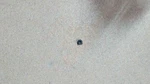 503644701 Husqvarna Grommet New. Price: $11.10.