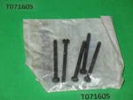 Oem Genuine Homelite 65175A Screw Bolt, Bar Tensioner, Chainsaw Nos New. Price: $14.99.