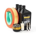 Briggs & Stratton Maintenance Kit 84013508 New. Price: $98.90.