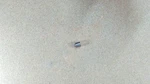 503519801 Husqvarna Spacer * See Condition In Description New. Price: $5.58.