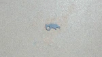 501673201 Husqvarna Pawl Replaces 501679501 New. Price: $8.55.