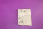 Nos Homelite Plunger. Part A-12202. See Pic. Open. Price: $11.84.