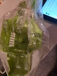 Poulan 530049334 Cover New. Price: $10.00.