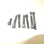 Oem Husqvarna Crankcase Screw Set, Early, Models 266 162 Used. Price: $6.00.
