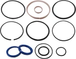 Upgraded Hydraulic Log Splitter Cylinder Rebuild Seal Kit For 4.0"BORE X 1.75" New. Price: $30.92.