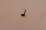 Shindaiwa 488 Chainsaw Oem Choke Lever Used. Price: $8.99.