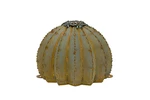 Desert Steel Golden Barrel Cactus Torch - (small 12" X 9" H) Outdoor Me... New. Price: $229.90.