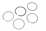 Acdelco Engine Piston Ring Kit 55568927 New. Price: $101.46.
